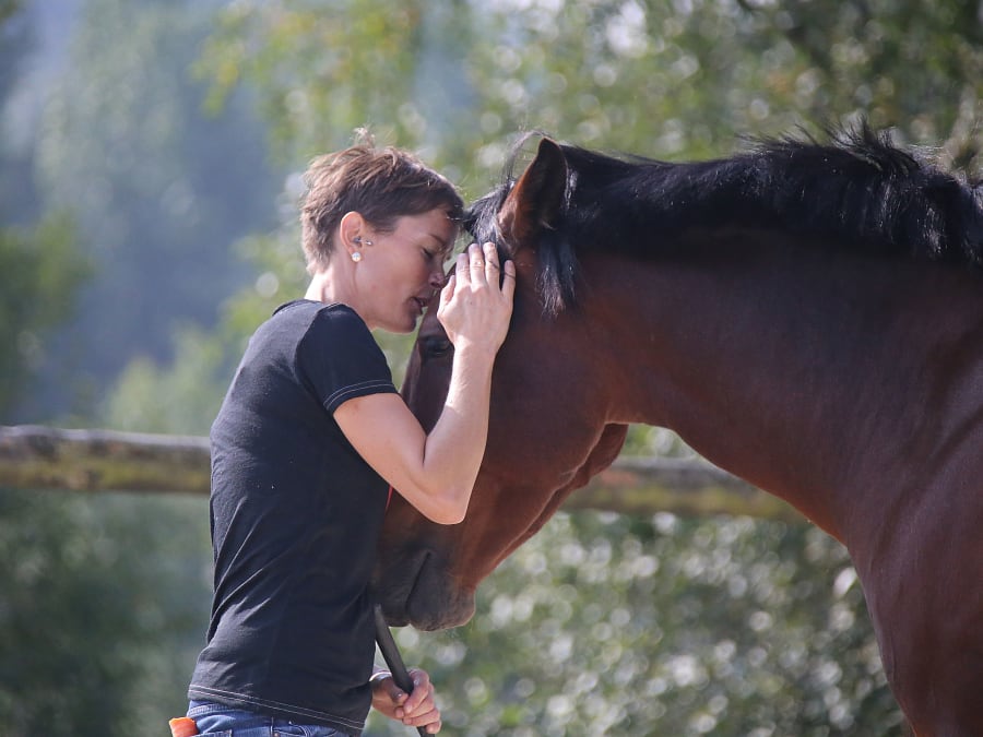 Chuchoteurs experience at Haras de la Cense in Yvelines, France