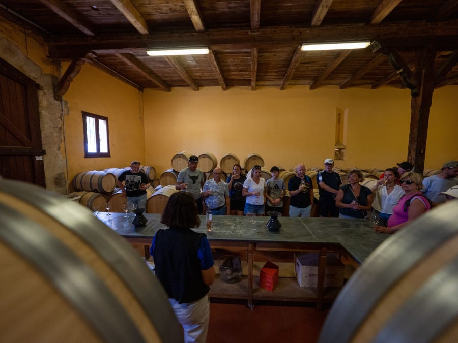 Team Building randonnée en trottinette électrique à Leucate (11)