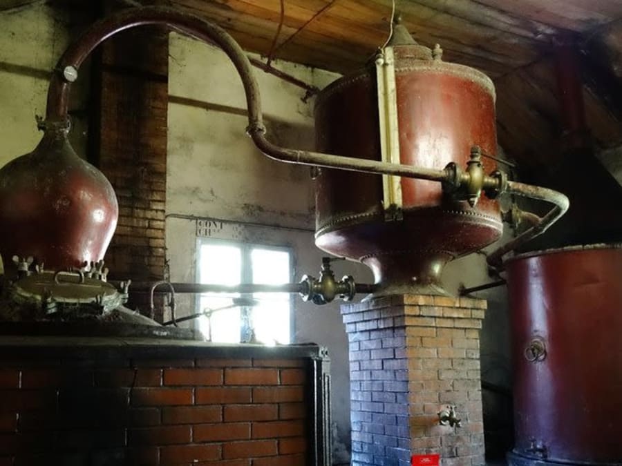 Private tour of Cognac distilleries and Bordeaux vineyards