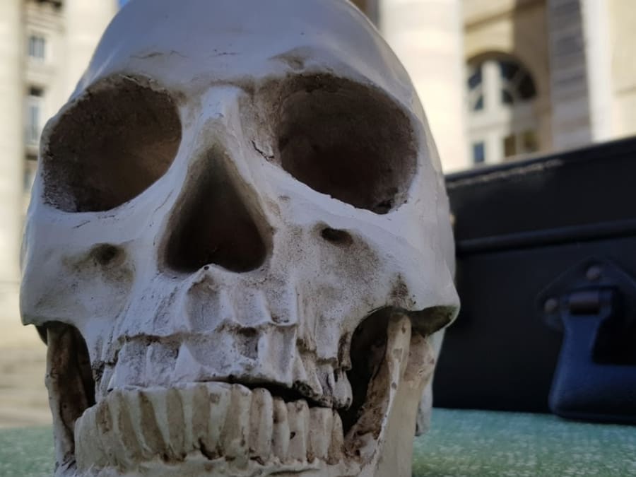 Escape Game "Le Crâne de Goya" mode coopération à Bordeaux (33)