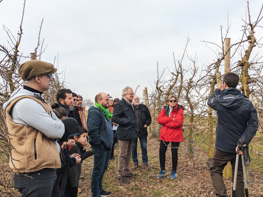 Taller de poda de frutales en Chanteloup en Brie (77)