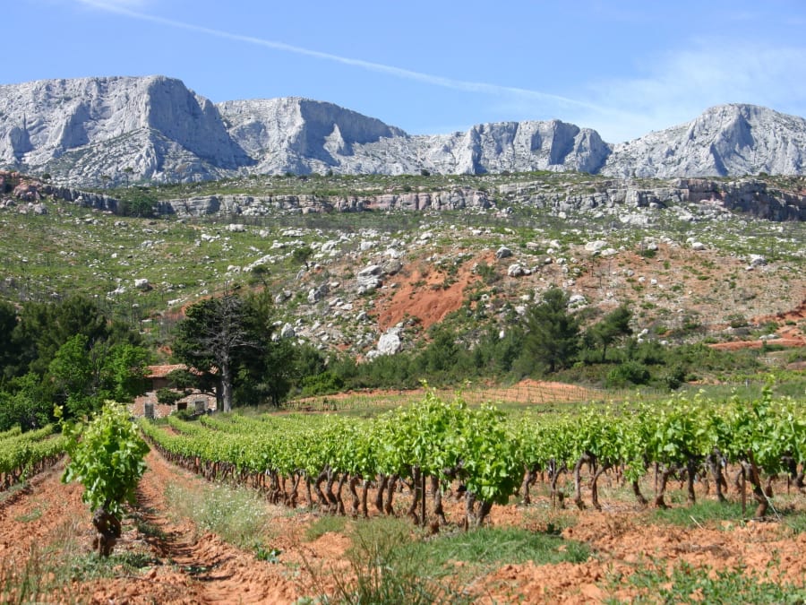 Visite sensitive au Vinotarium à Rousset (13)