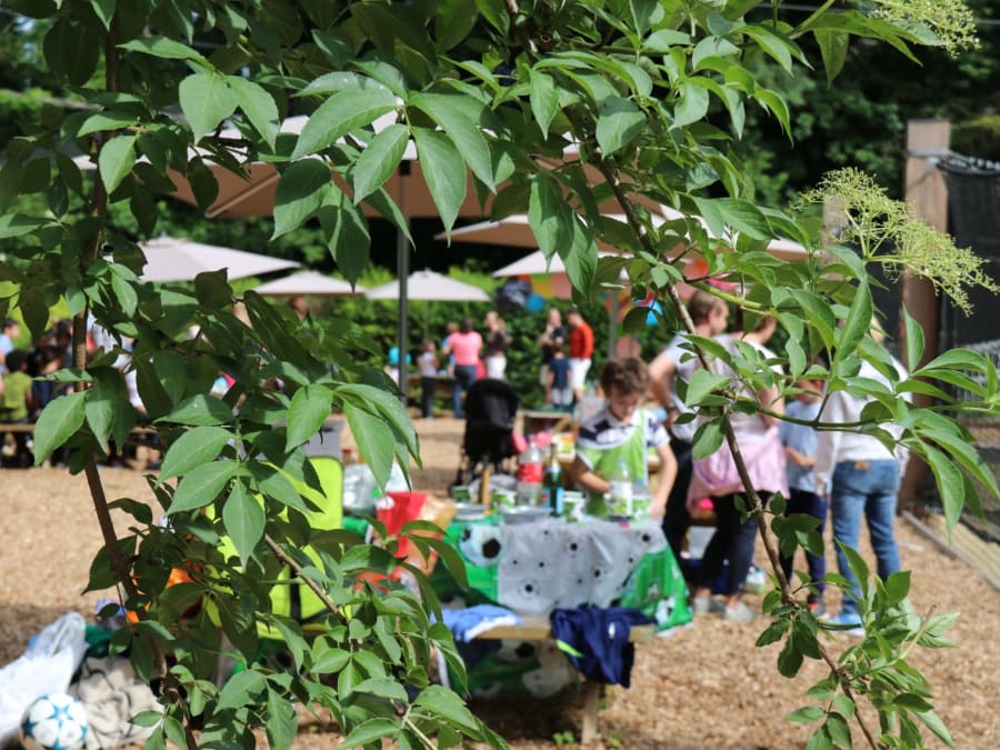 Anniversaire Accrobranche À Boucles De Seine Giverny (78)