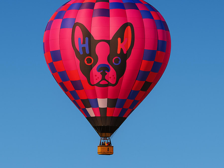 Vol en Montgolfière à Albi (81)