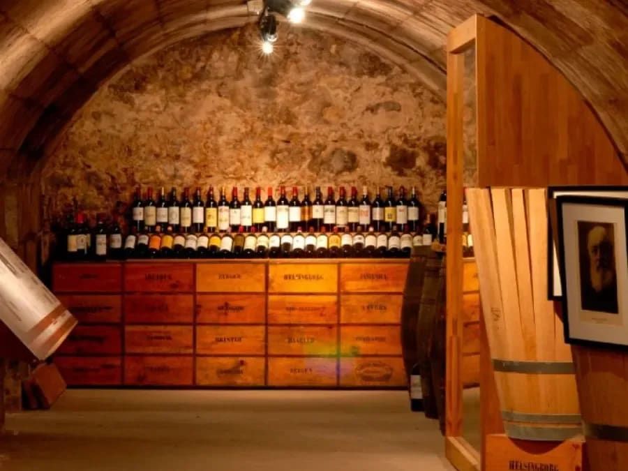 Entrada para el Musée du Vin et du Négoce de Burdeos (33)