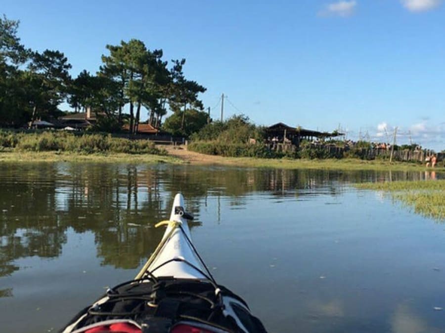 Escursione botanica in kayak nei Prés Salés del Bacino di Arcachon