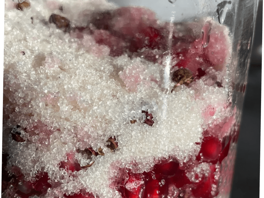 Team Building création de boissons fermentées à Toulouse (31)