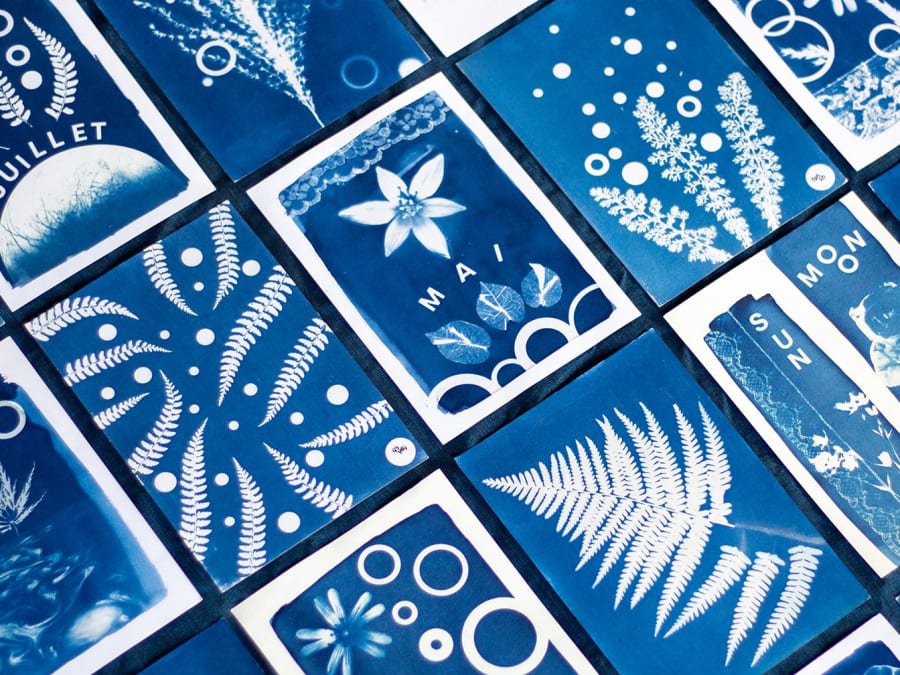 Atelier découverte du cyanotype à Nantes (44) 