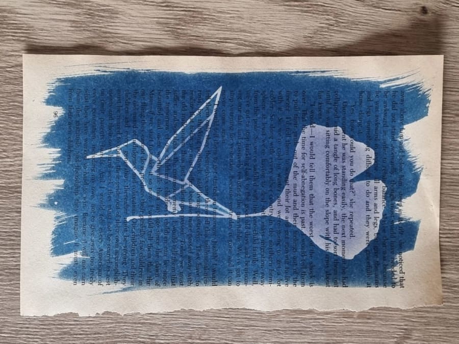 Team Building atelier cyanotype à  Saint-Avertin (37)