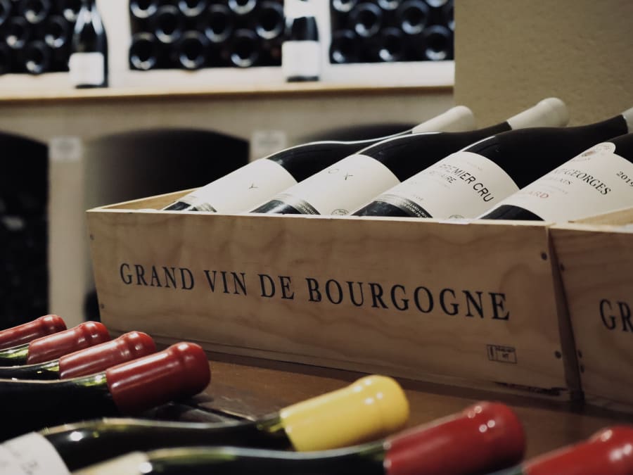 Visite & dégustation de vins en Côte de Nuit (21)