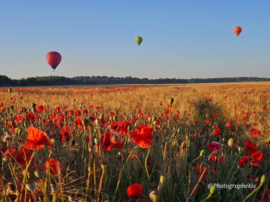 Vol en Montgolfière proche de Poitiers dans le Haut-Poitou (86)