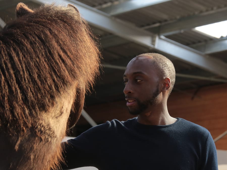 Team Building Equi-coaching dans les Yvelines (78)