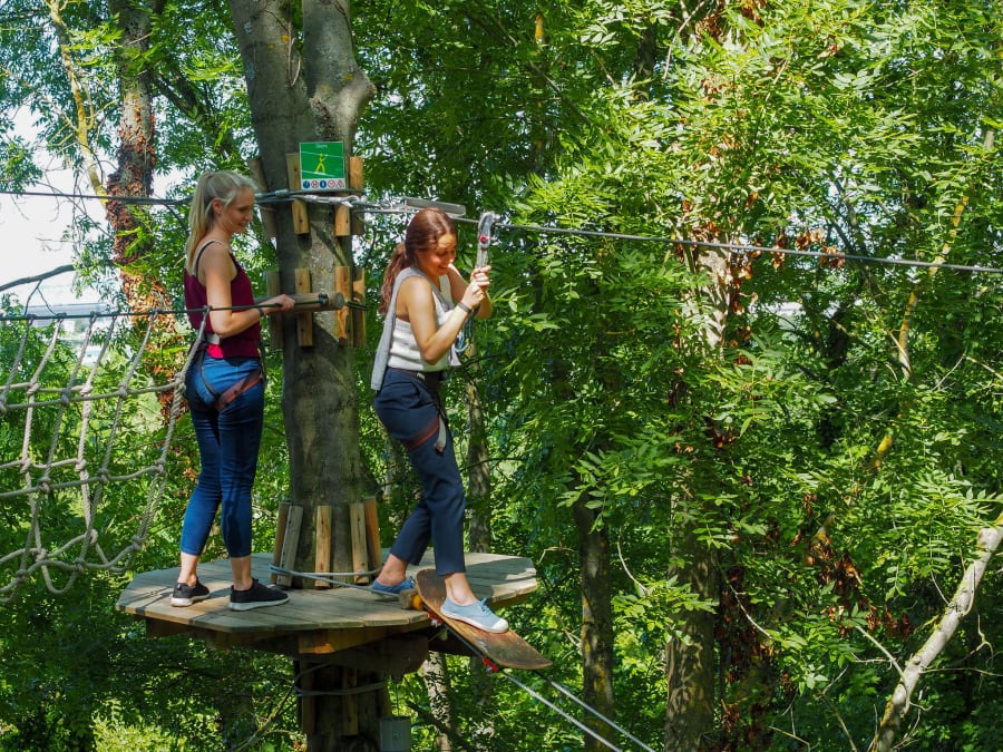 Team Building Accrobranche A Rueil Malmaison 92 Funbooker