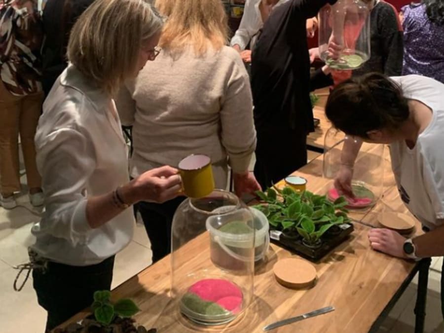 Atelier terrarium à Boulogne (92)