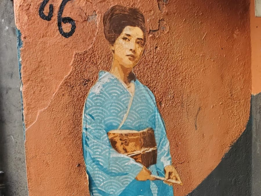   Guided tour "Toulouse between street art & heritage" (31)