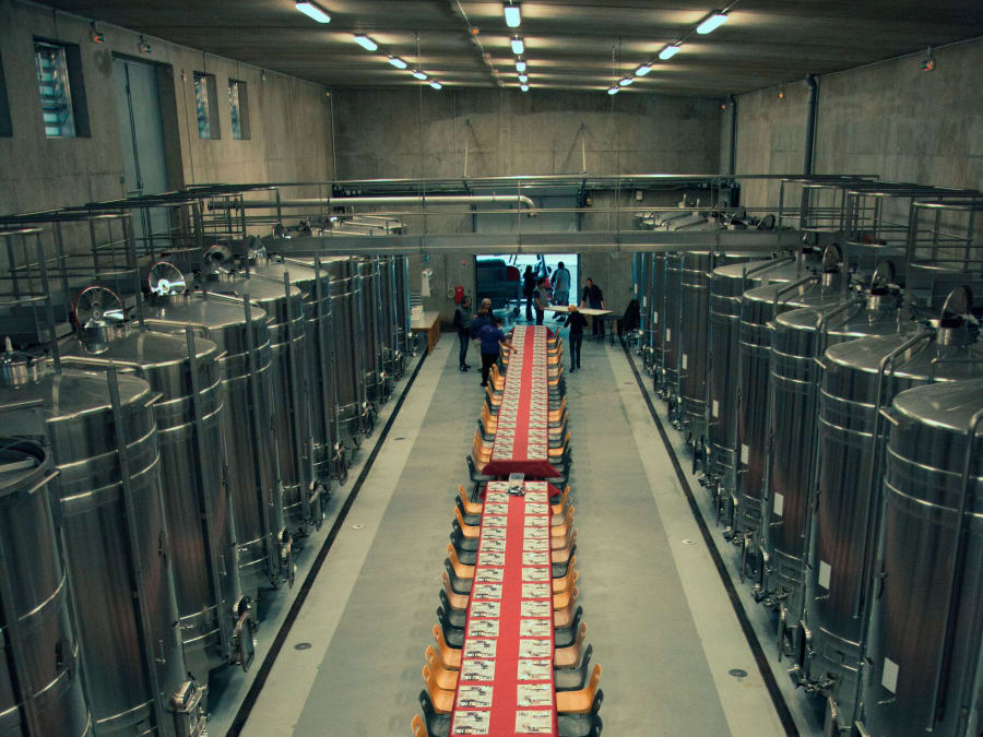 Visite découverte & dégustation au domaine P&B Couly (37)