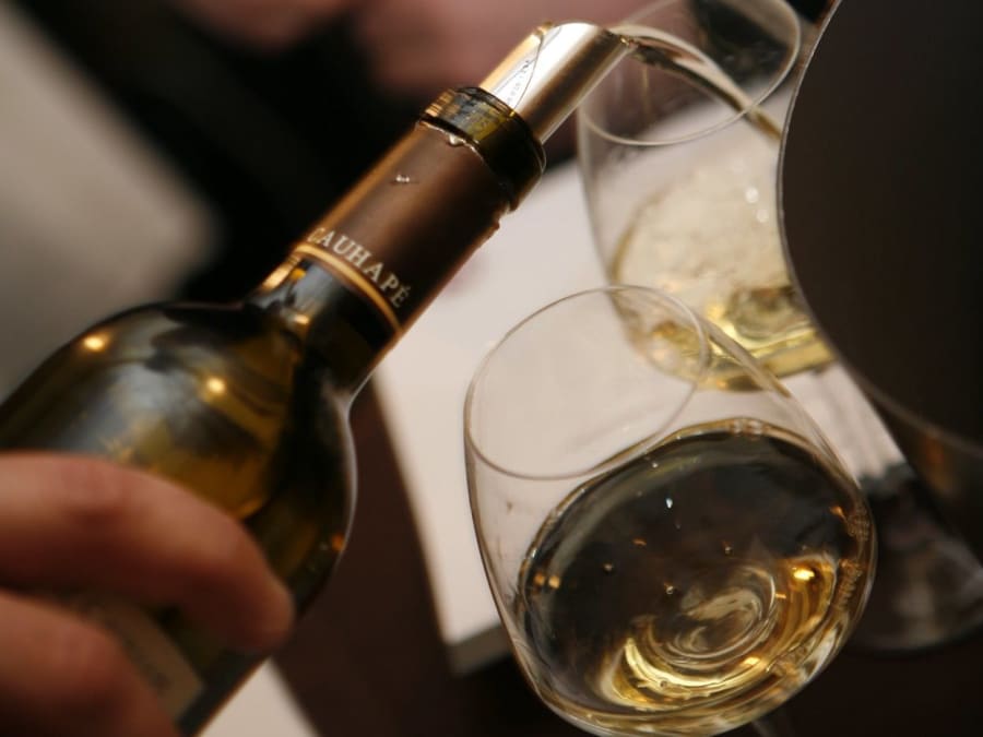 Animation Œnologie "Les défis du vin"