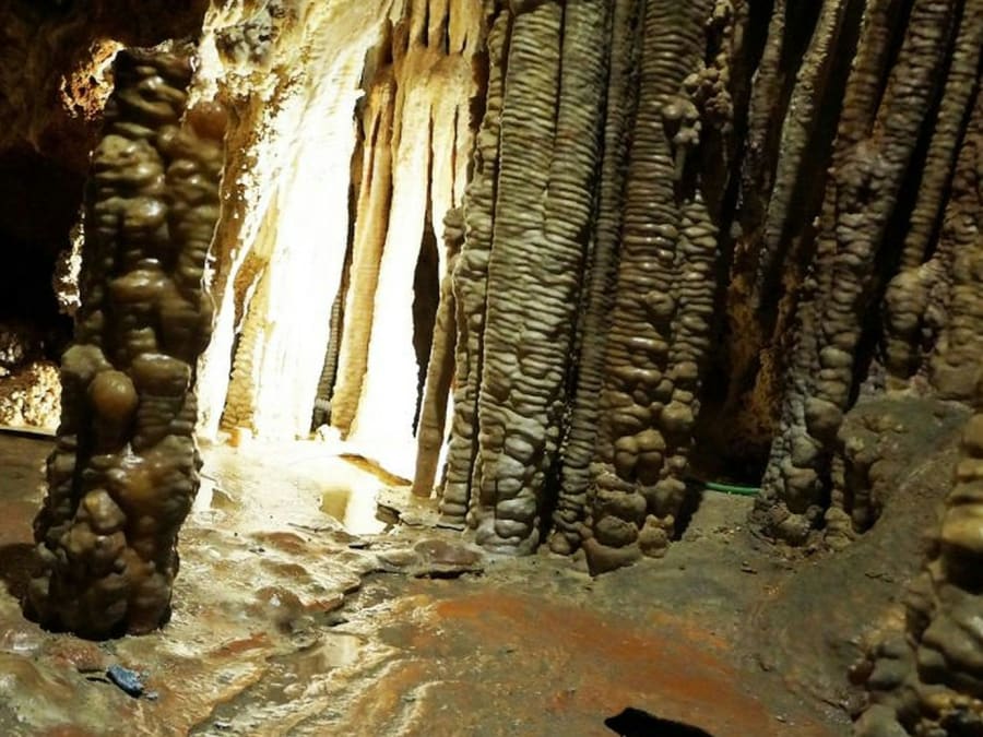 Billet coupe-file pour les Grottes de Genova à Palma de Majorque