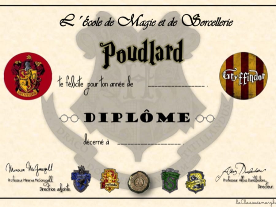 Anniversaire Harry Potter 6 10 Ans A Domicile Exterieur Funbooker