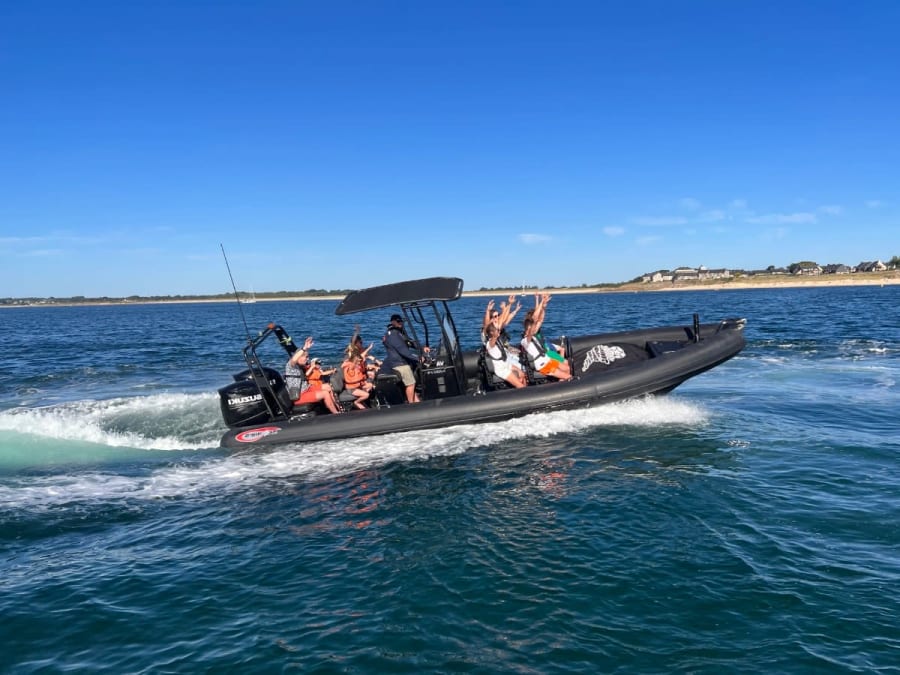 Promenade en mer sur la journée dans le Golfe du Morbihan (56)