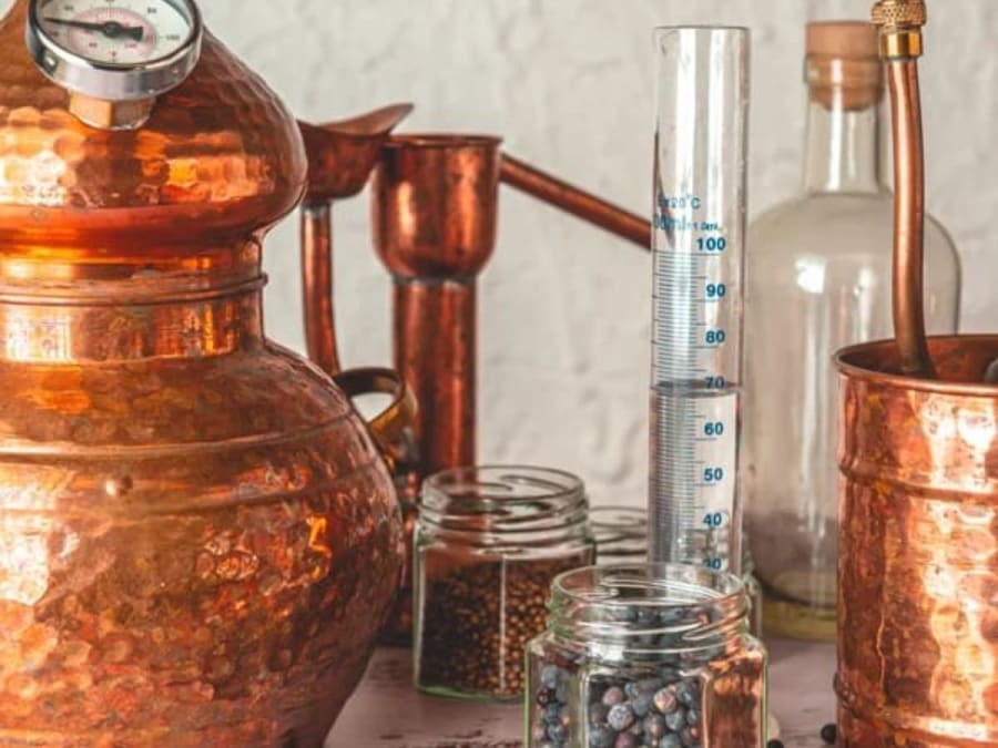 Taller de destilación de ginebra en Roiffé (86)