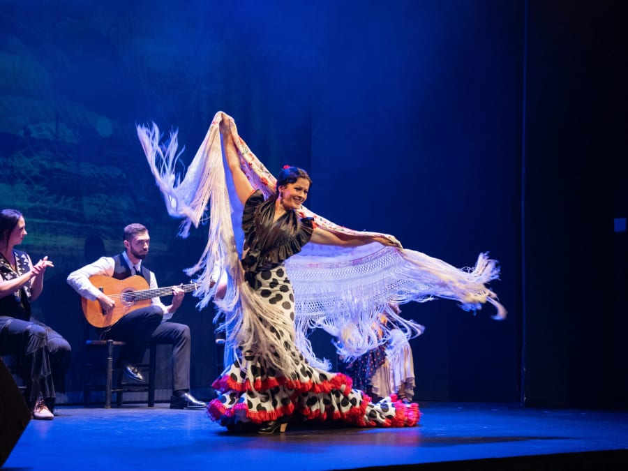 Spectacle de flamenco au Teatro Flamenco de Barcelone