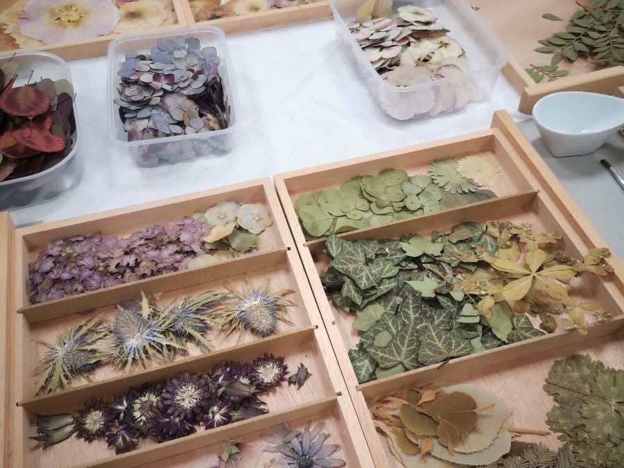 Atelier création d'herbier parent/enfant à Saint-Aubin-de-Médoc