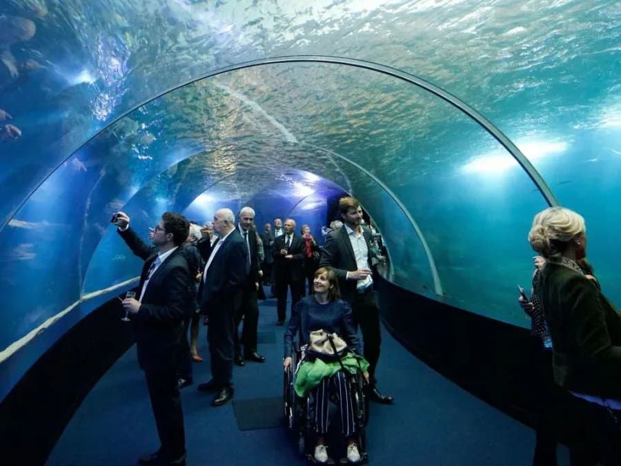 Vivez comme un poisson dans l'eau à Nausicaa (62)