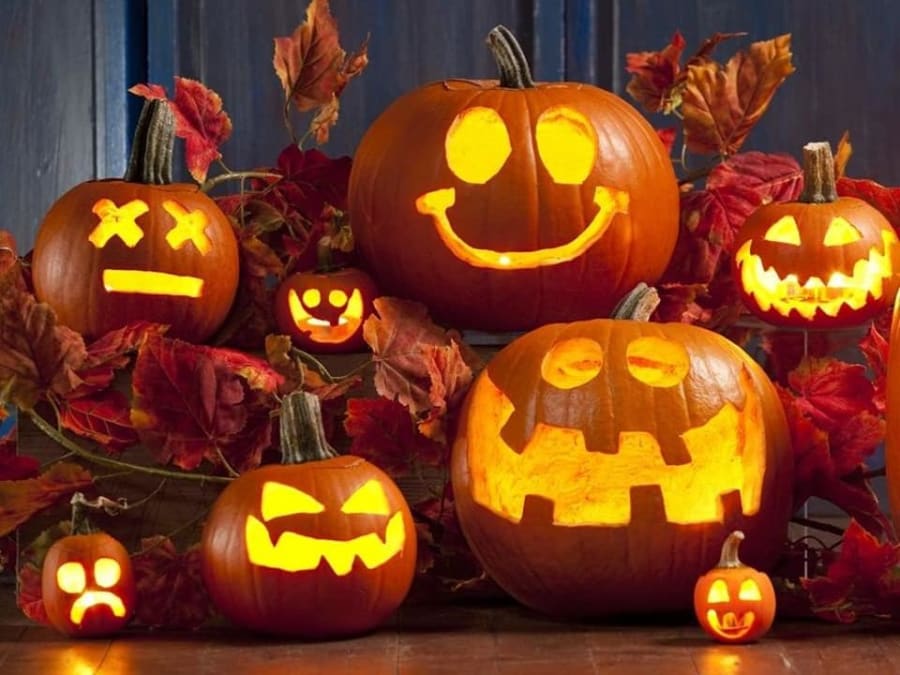 Atelier citrouille à la Cueillette de la Croix Verte (95)