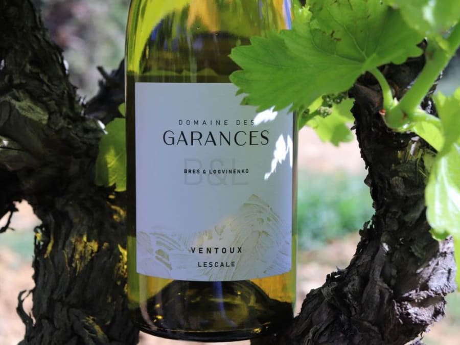 Wine tasting workshop at Domaine des Garances (84)