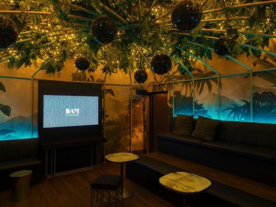 Team Building Karaoké à La Madeleine à Paris 9ème