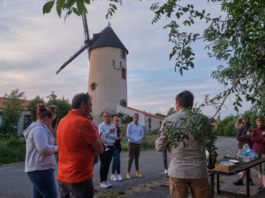 Team Building balade en Canoë en journée à Sallertaine (85)