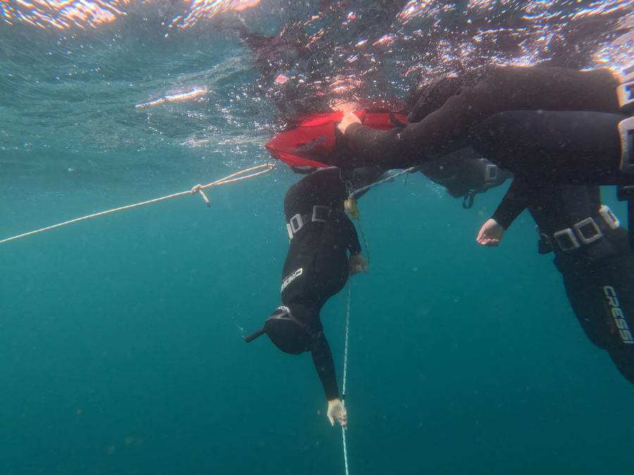 Sortie sunset en apnée-sous-marine à Groix (56)