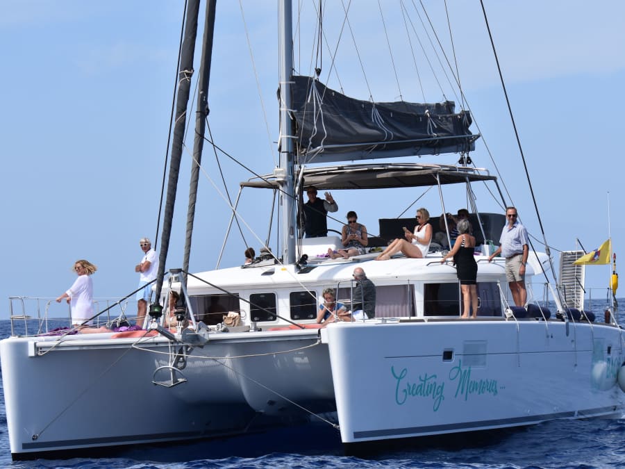 Passeio de catamarã e observação de baleias a partir de Tenerife