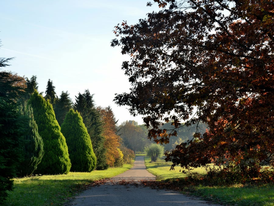 Billet pour l'Arboretum de Versailles-Chèvreloup (78)