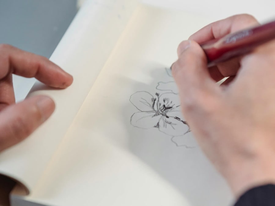 Atelier dessin & pique-nique au Bois de Vincennes (75)