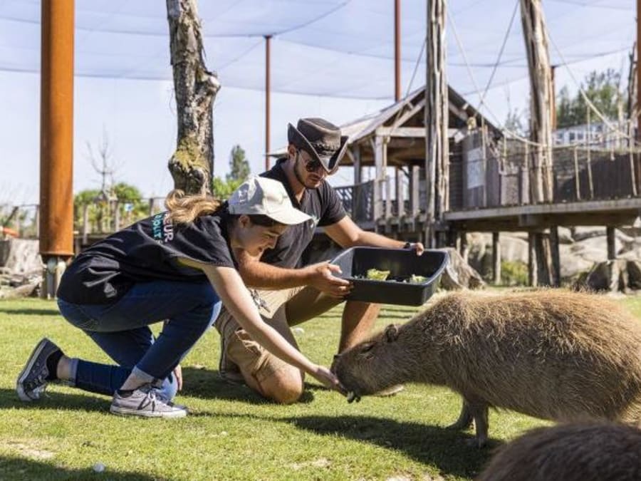 Cuidador por un día en Parrot World (77)