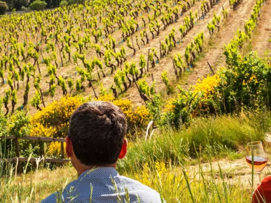 Visita a un vigneto e aperitivo a Beaucaire (30)