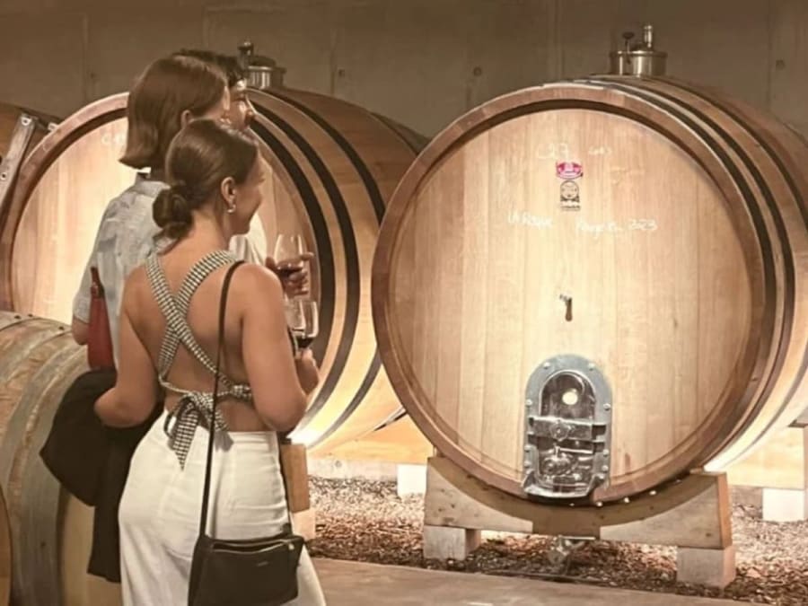 Team Building Winetour Découverte du terroir du Pic Saint Loup