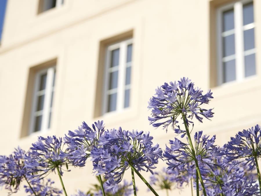 Best Western Premier des Vignes et des Anges (33)