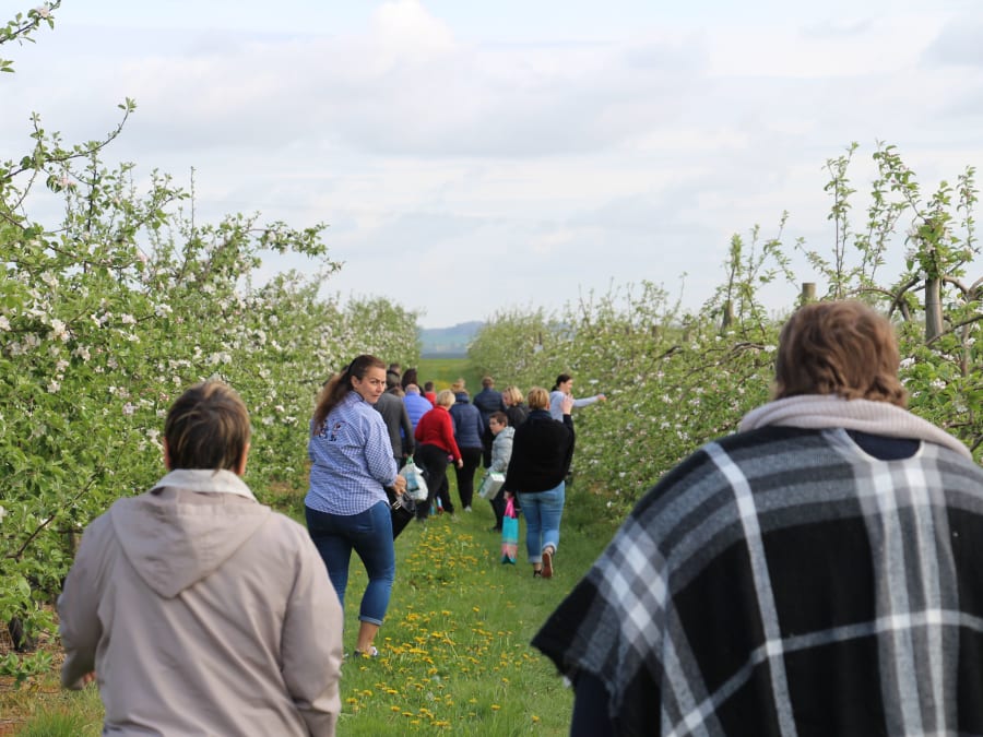 Chasse aux oeufs à la Cueillette de Saint-Gratien (80)