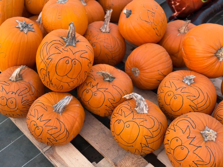 Atelier citrouille d'Halloween à la Cueillette de Beaurains (62)