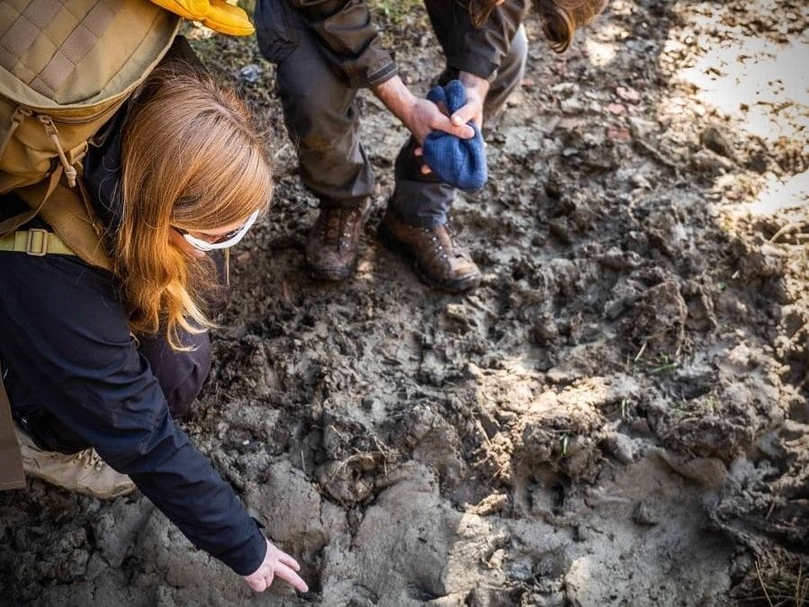 Stage de Survie enfant & famille proche de Paris
