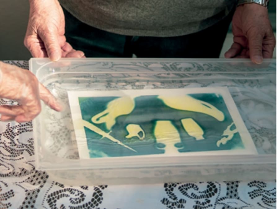 Taller de iniciación a la cianotipia en Villeurbanne (69)