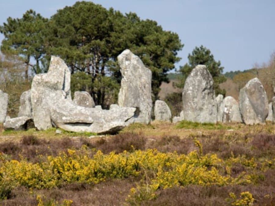 Guided tour along the Menhirs at Carnac (56)