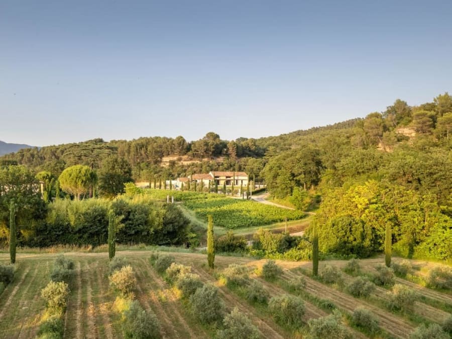 Visita autoguiada y degustación de aceite de oliva en Cadenet (8
