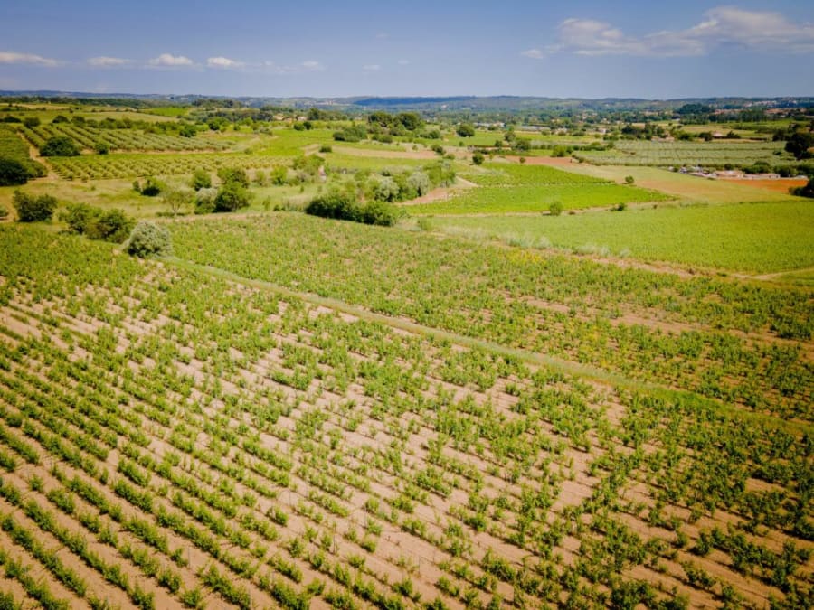 Domaine Sainte Cécile du Parc à Pézenas (34)