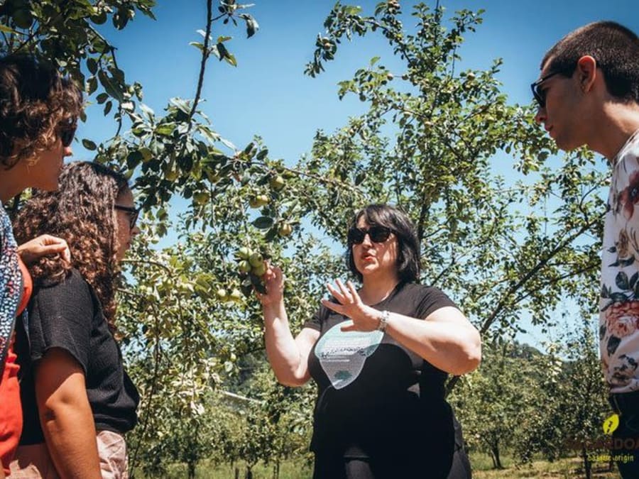 Visita guiada «Cidraria basca» + refeição a partir de San Sebastián