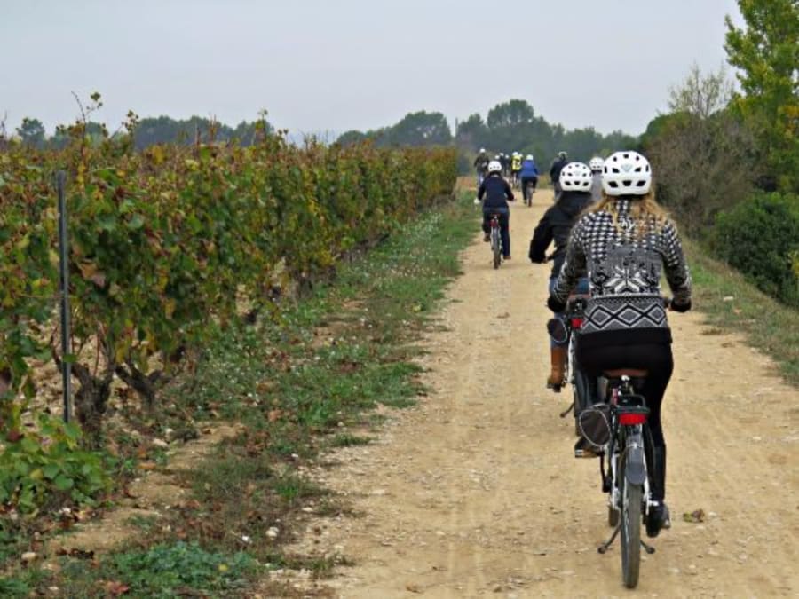Fietstocht en kelderbezoek met wijnproeverij in de wijngaarden van Penedès