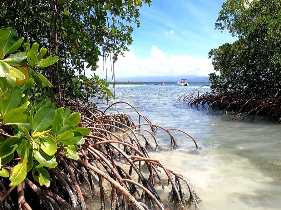 Skippered yacht charter from Port-Louis (97)